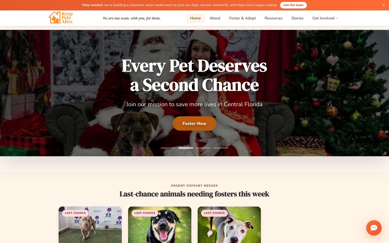 Keep Pets Alive — Animal-welfare organization system built by Kavod